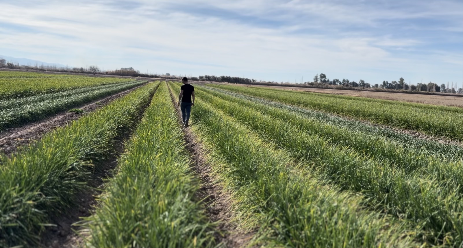 Agrofit Agro